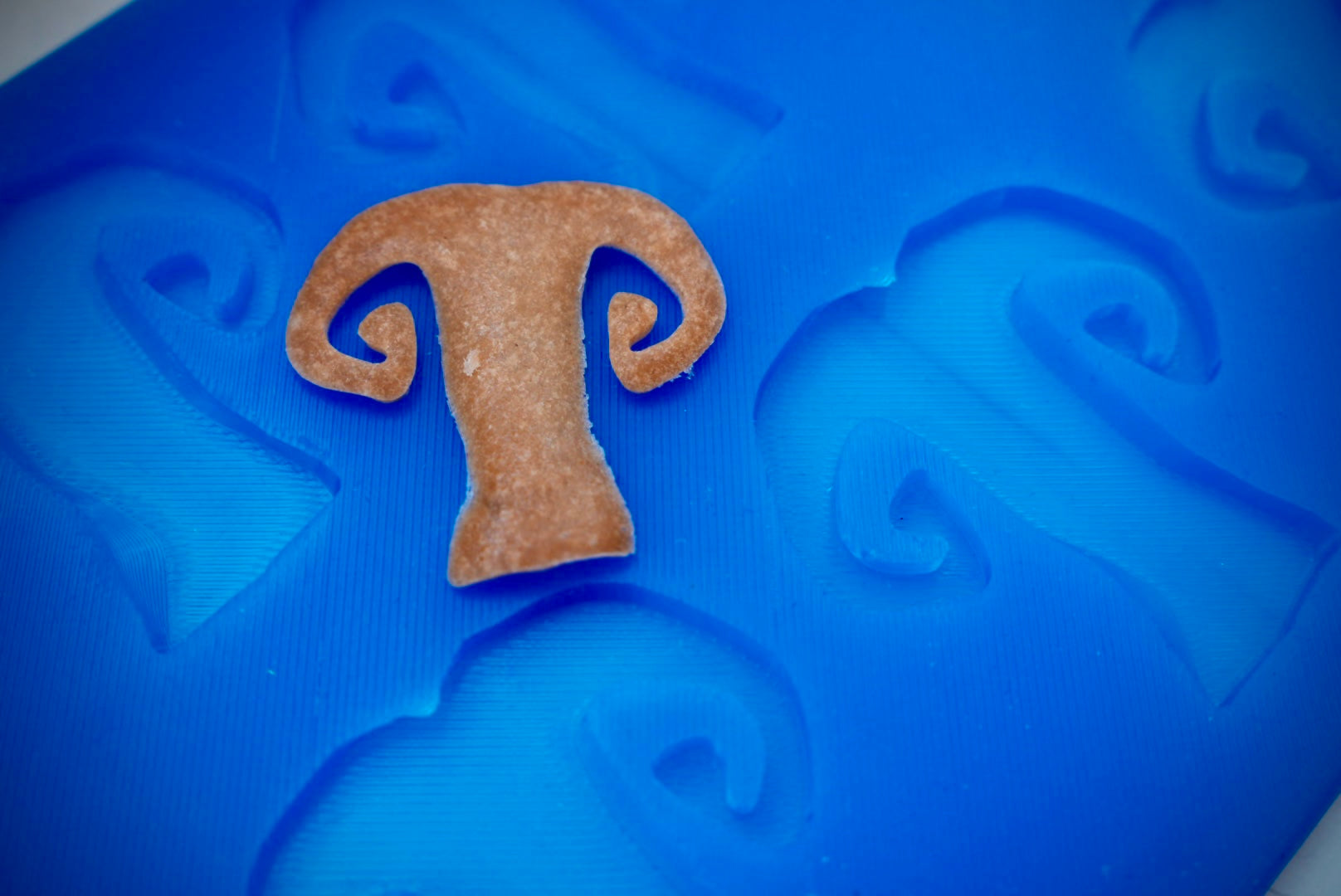 2D Mushroom Mold