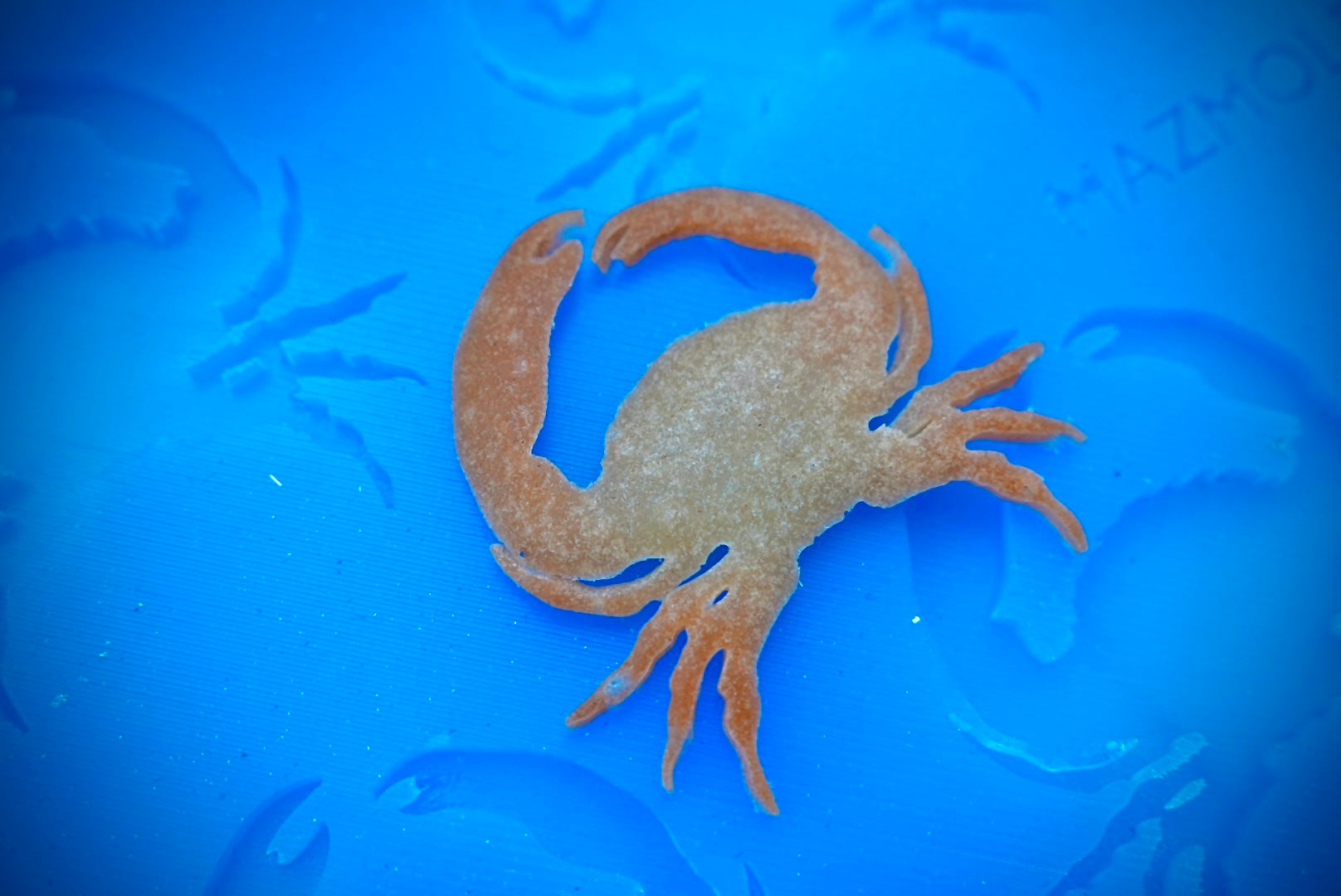 2D Crab Mold