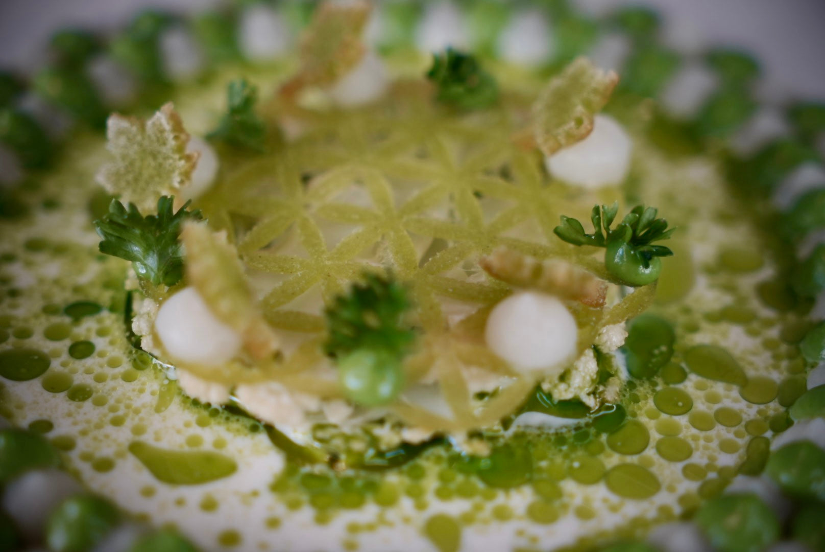 2D Flower of Life Mold