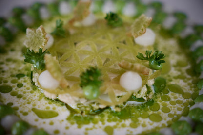 2D Flower of Life Mold