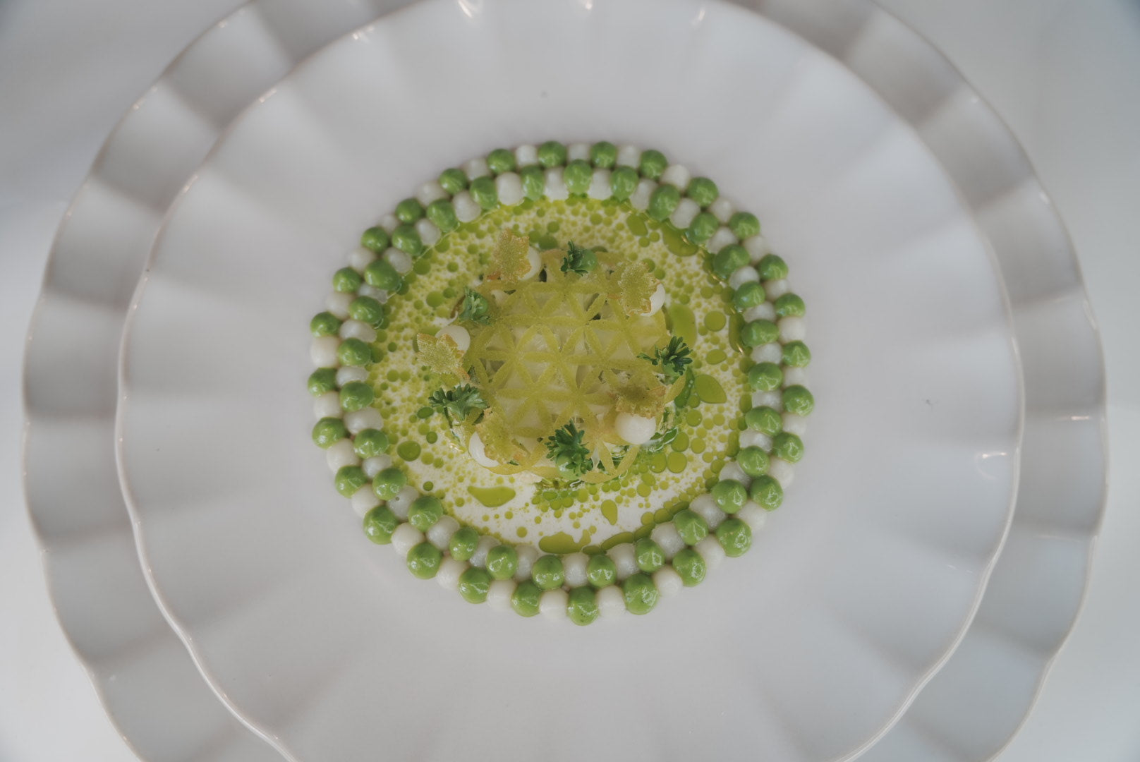 2D Flower of Life Mold