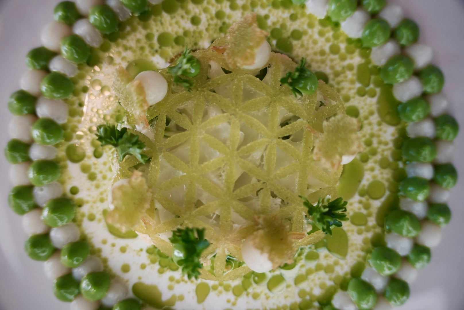 2D Flower of Life Mold