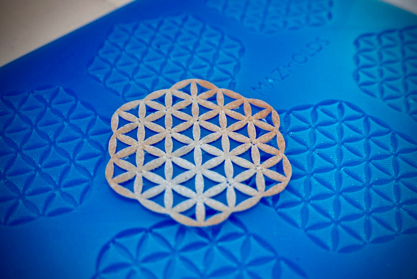 2D Flower of Life Mold