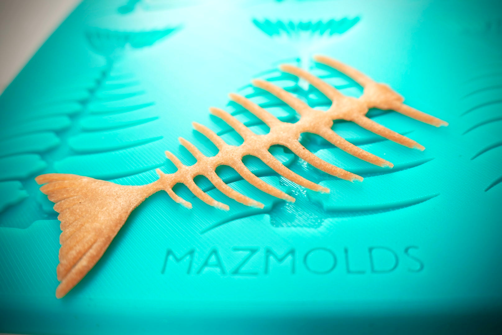 2D Fish Skeleton