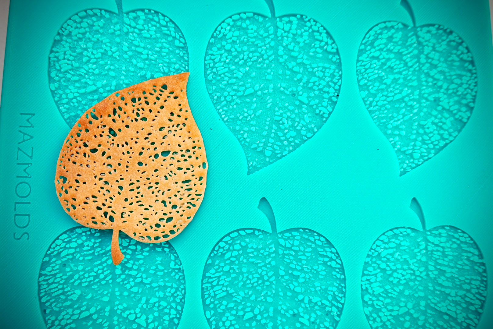2D Skeleton leaf Mold