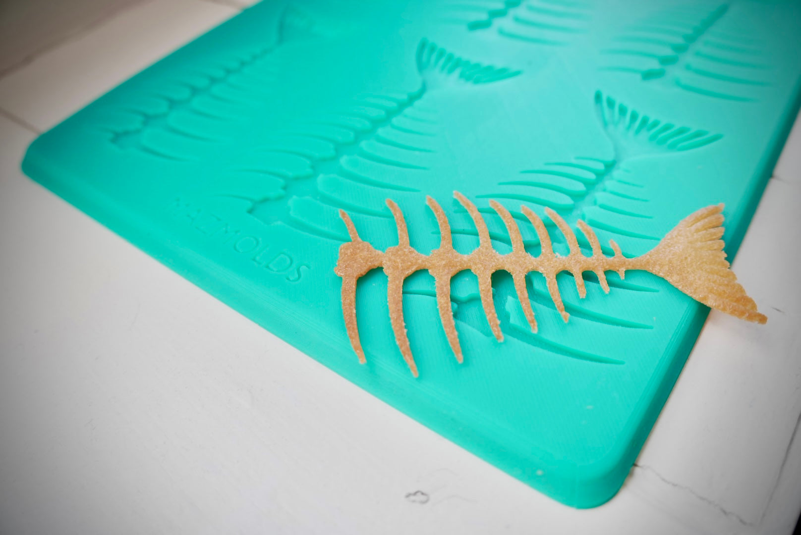 2D Fish Skeleton